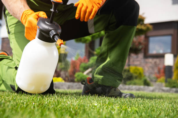 Best Emergency Pest Control  in Barnum Island, NY