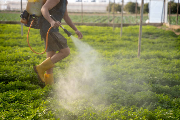 Best Local Pest Control Services  in Barnum Island, NY