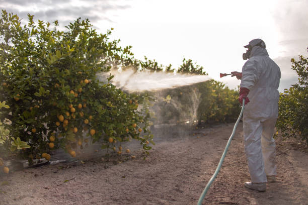 Best Pest Removal Services  in Barnum Island, NY