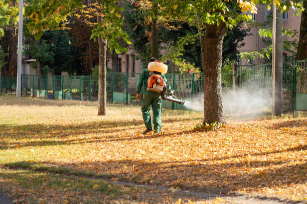 Best Emergency Pest Control  in Barnum Island, NY