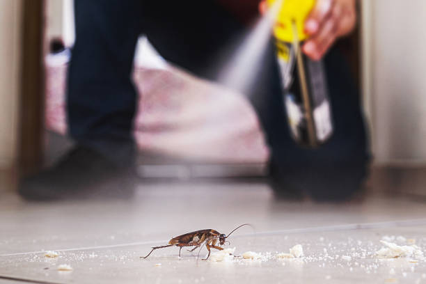 Best Commercial Pest Control Services  in Barnum Island, NY