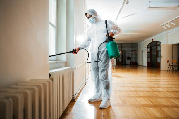 Best Termite Control Services  in Barnum Island, NY
