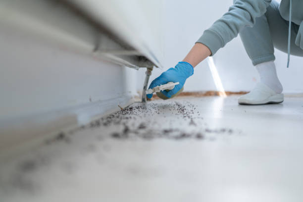 Best Mosquito Control Services  in Barnum Island, NY